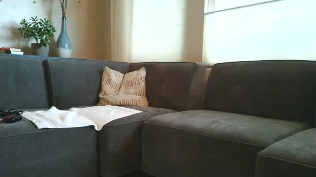 jasonsweets 02-05-2026 Cam Show lickpussy striptease