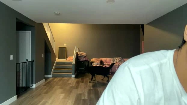 jasonsweets 04-05-2026 Cam Show dirty squirt