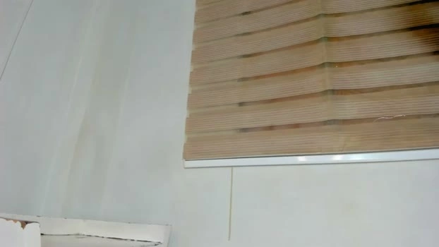 euphoriaparty 05-05-2026 Cam Show wet fuckass