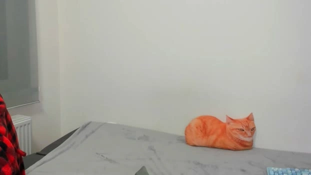 raveneusbiter 07-05-2026 Cam Show ass dirty