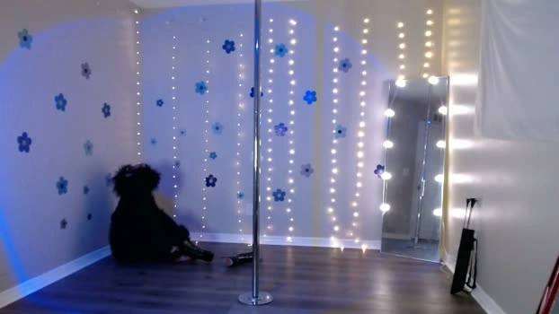 hexivu 17-05-2026 Cam Show play squirt
