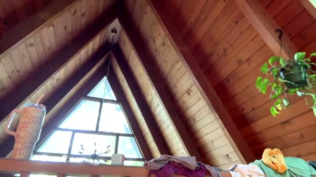 emersoncane 18-05-2026 Cam Show moan show