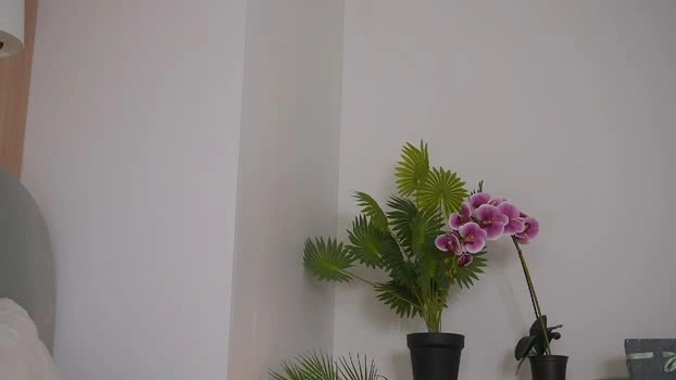 sonya_kelsey 26-05-2026 Cam Show sexybody wank