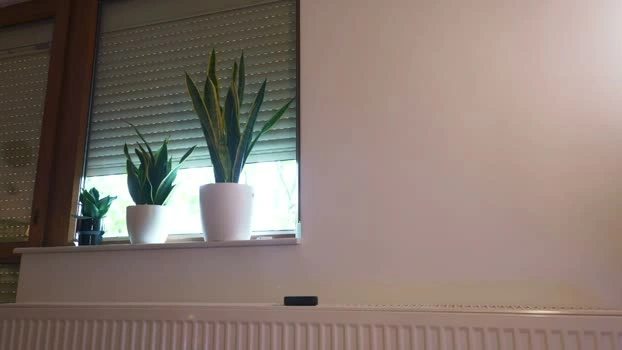 fazeyj 05-06-2026 Cam Show sexybody boobs
