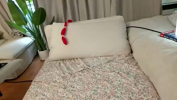 ambrrr69 07-06-2026 Cam Show fuck fuckface