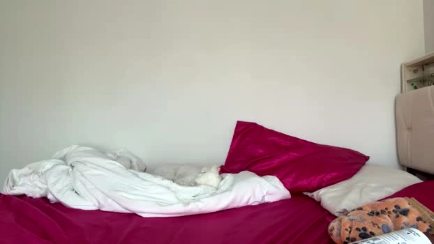 luluxoxo3 15-07-2026 Cam Show Cam pussy